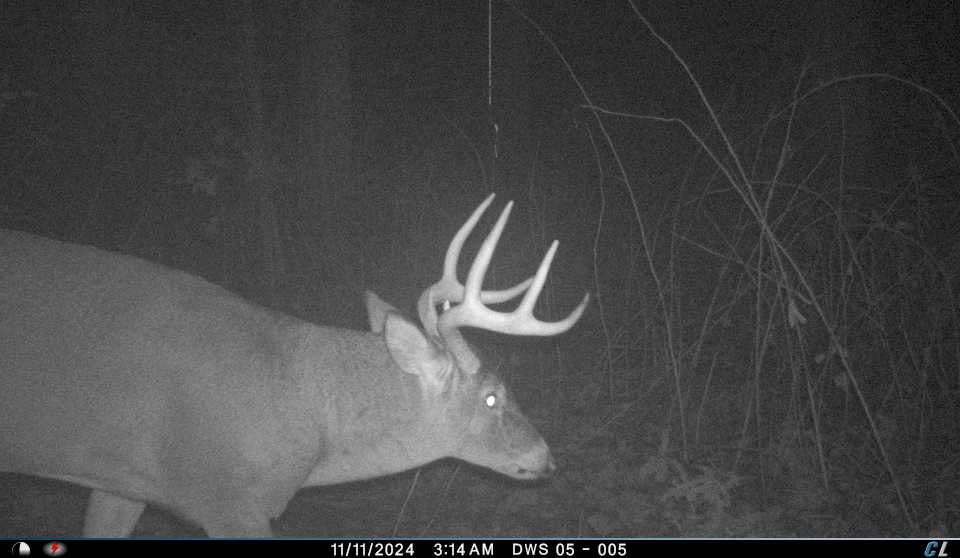 Remote Deer Herd Analysis