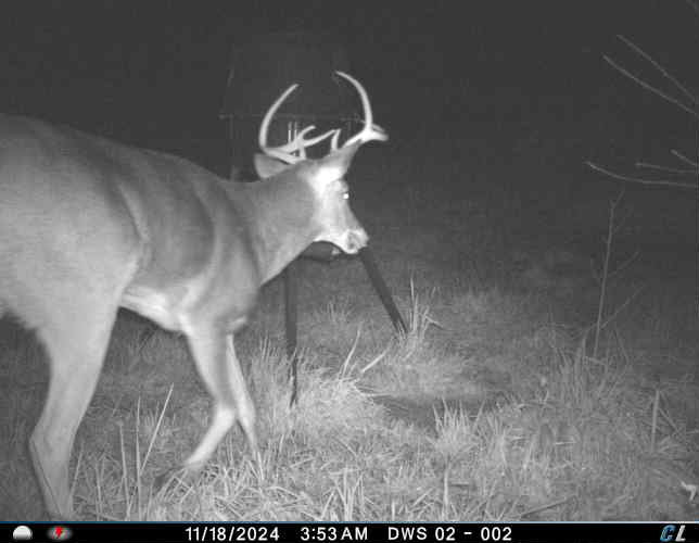 Remote Deer Herd Analysis