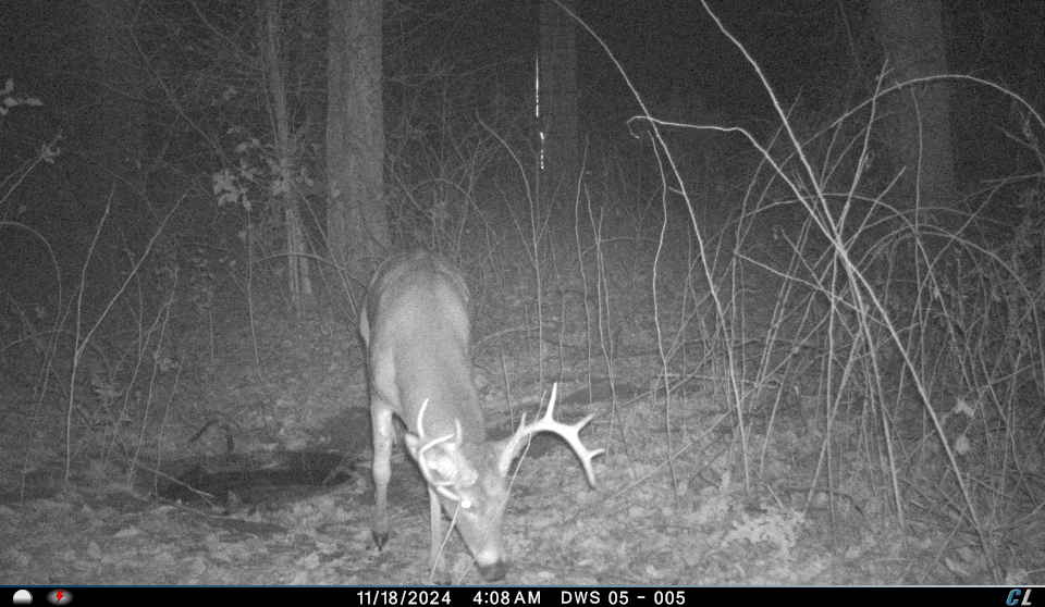 Remote Deer Herd Analysis