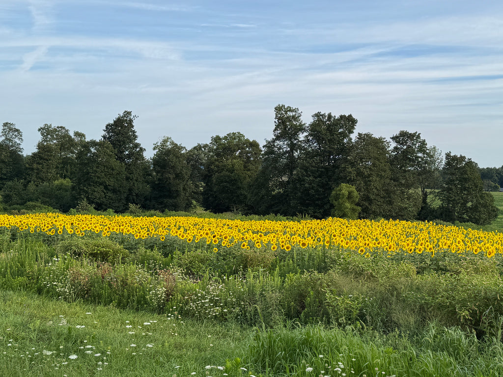 Wildlife and Habitat Assessment - Site Visit
