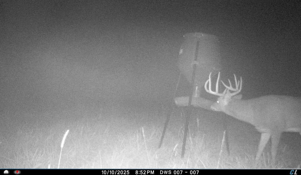 Remote Deer Herd Analysis