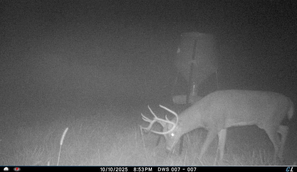 Remote Deer Herd Analysis