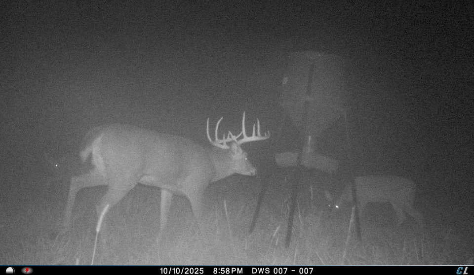 Remote Deer Herd Analysis