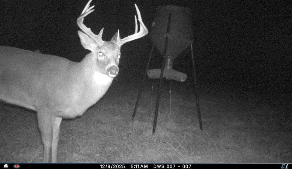 Full-Service Deer Camera Survey