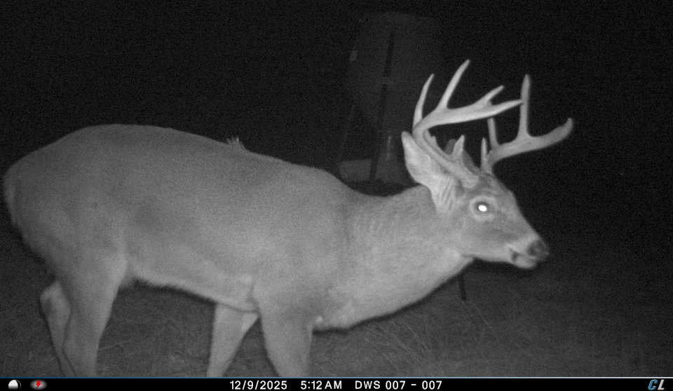Full-Service Deer Camera Survey