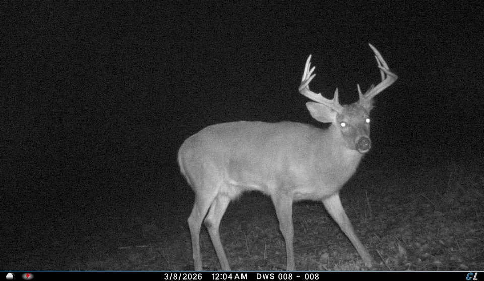 Full-Service Deer Camera Survey