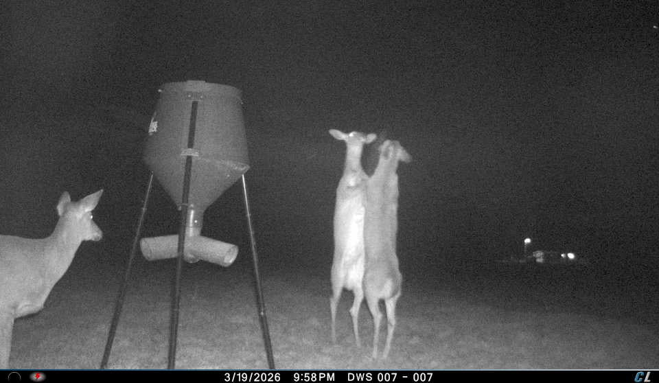 Full-Service Deer Camera Survey