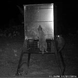600 lb. BC Stand and FIll w/cage
