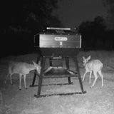 Camo 600lb. Corn Pro