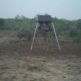 500lb Stand & Fill® Protein Feeder